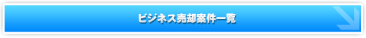 �r�W�l�X���p�ꗗ